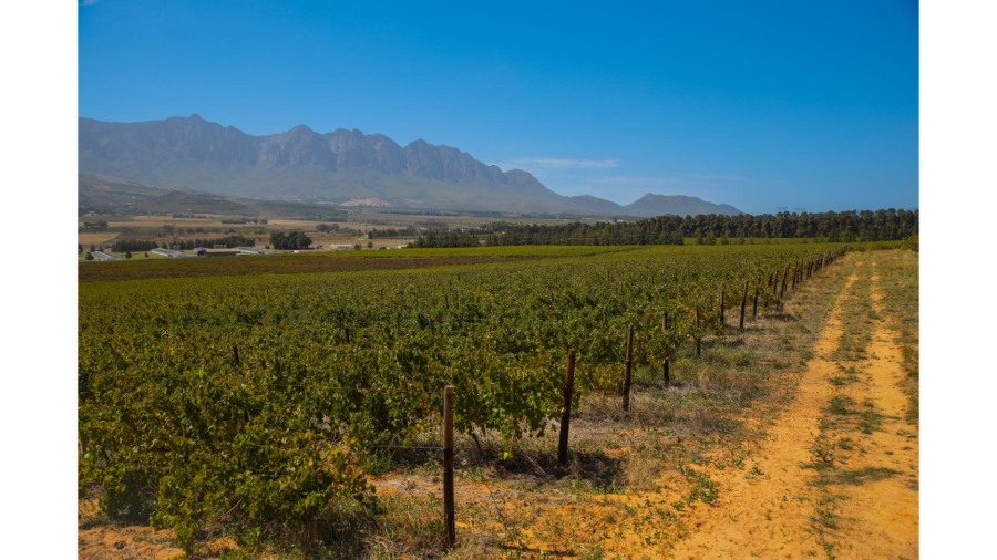 Commercial Property for Sale in Wolseley Western Cape